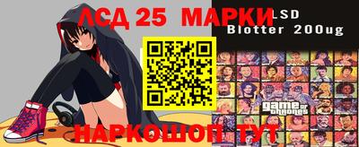 apvp Свободный