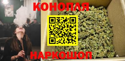 apvp Свободный