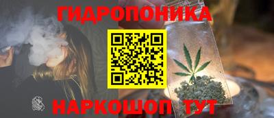 apvp Свободный