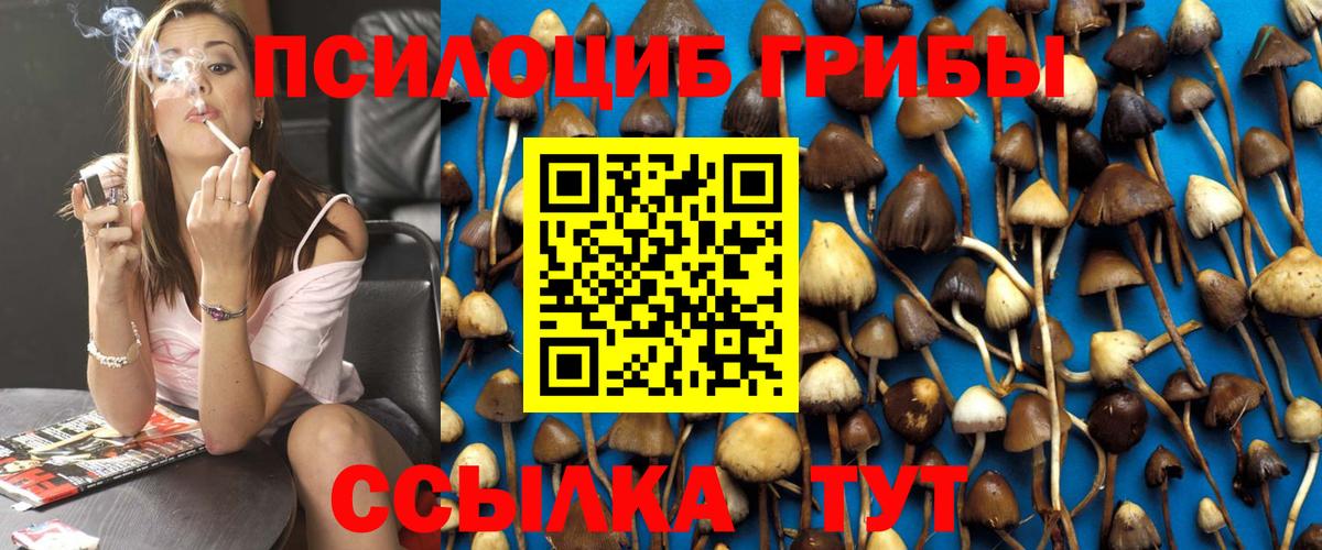 Псилоцибиновые грибы Cubensis  Псилоцибиновые грибы ЛСД  Холмск  Вход с VPN 